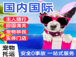 昆明长水机场货运国际宠物托运 【国